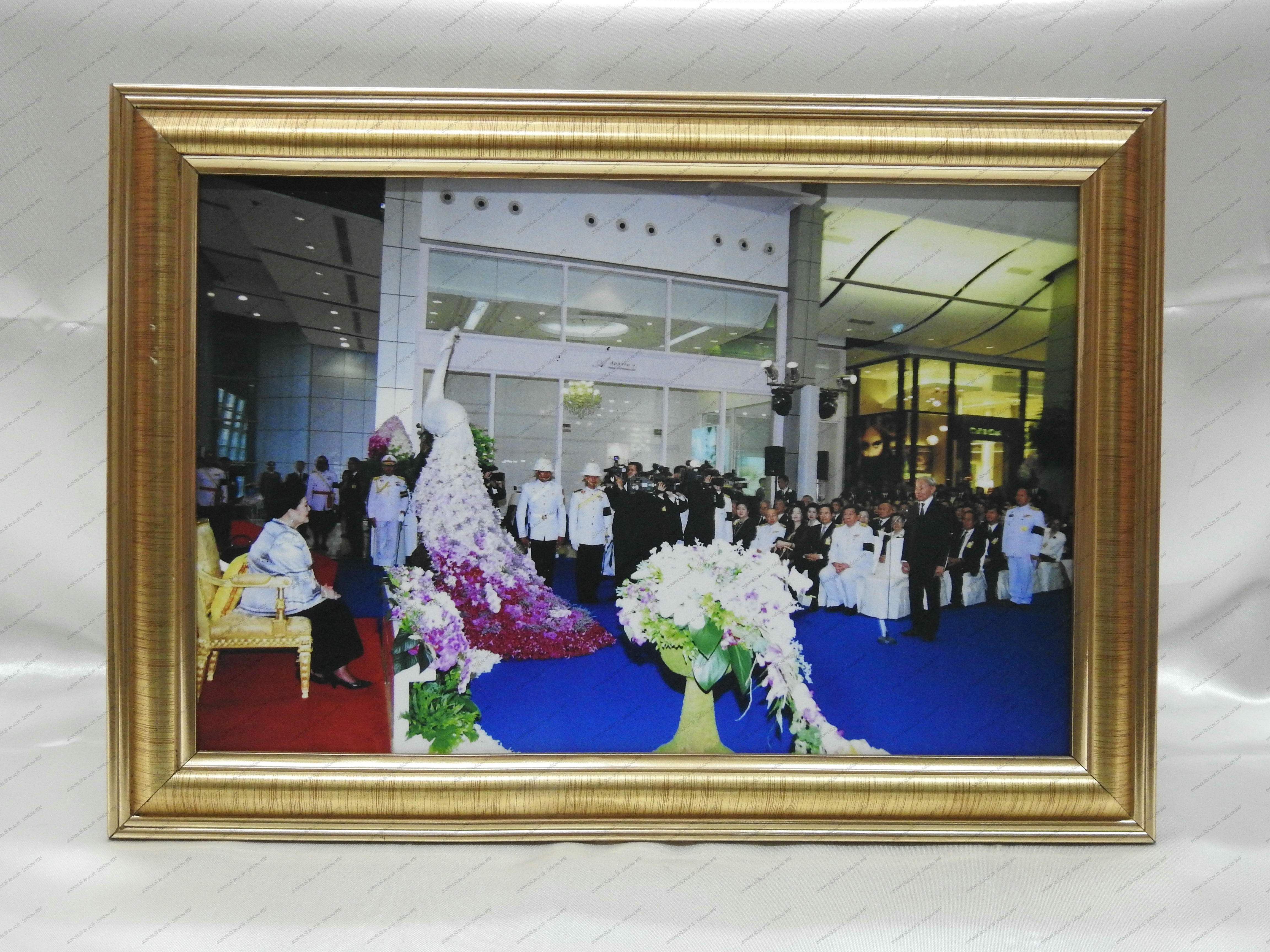 ภาพกิจกรรมต่างๆของ รศ.วุฒิชัย กปิลกาญจน์ (อธิการบดีมหาวิทยาลัยเกษตรศาสตร์)