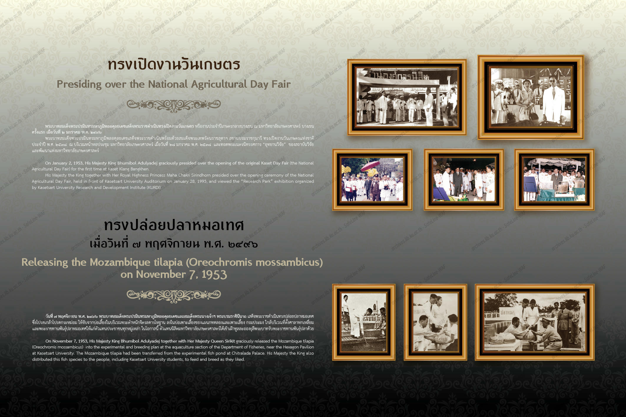 ภาพนิทรรศการน้อมรำลึกพระบารมีฯ