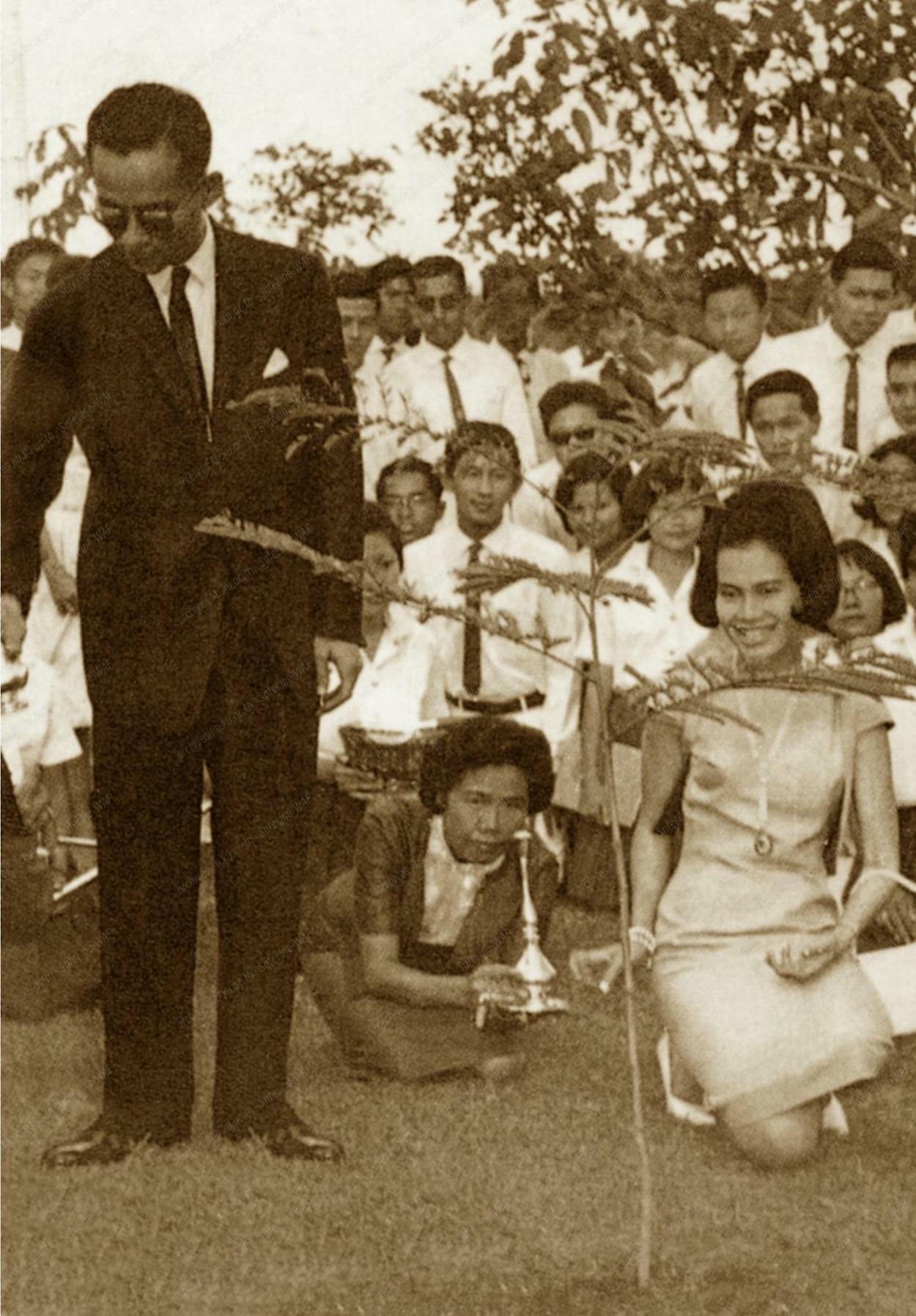 ทรงปลูกต้นนนทรีและทรงดนตรี