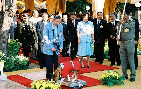 สระสุวรรณชาด